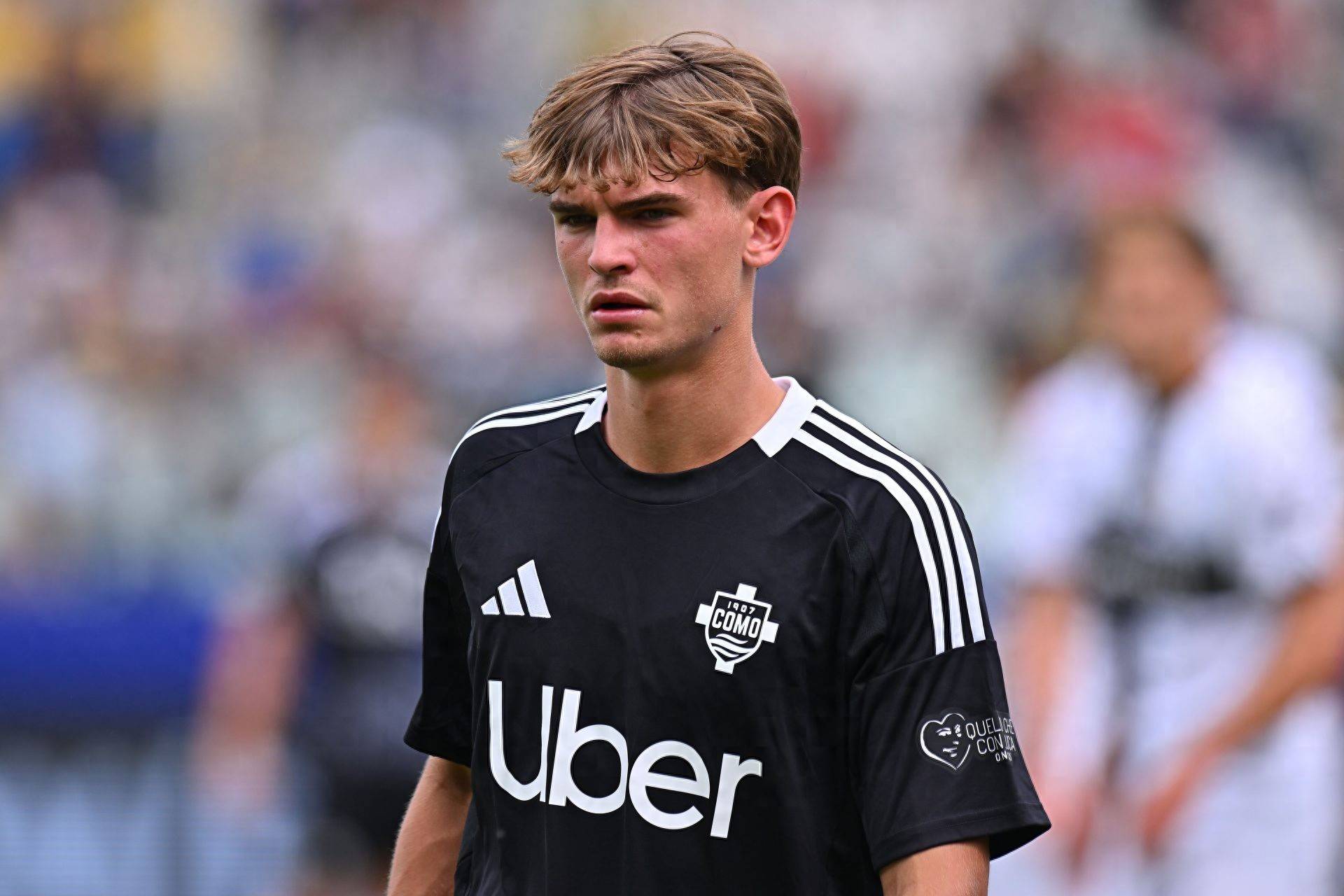 但近来的几 但近来的几