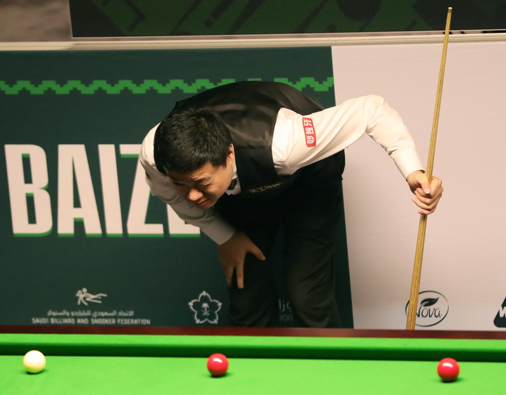 皇家社会在 皇家社会在