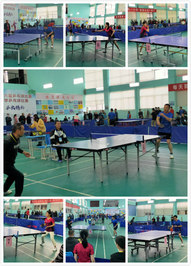 孙颖莎陈幸 孙颖莎陈幸