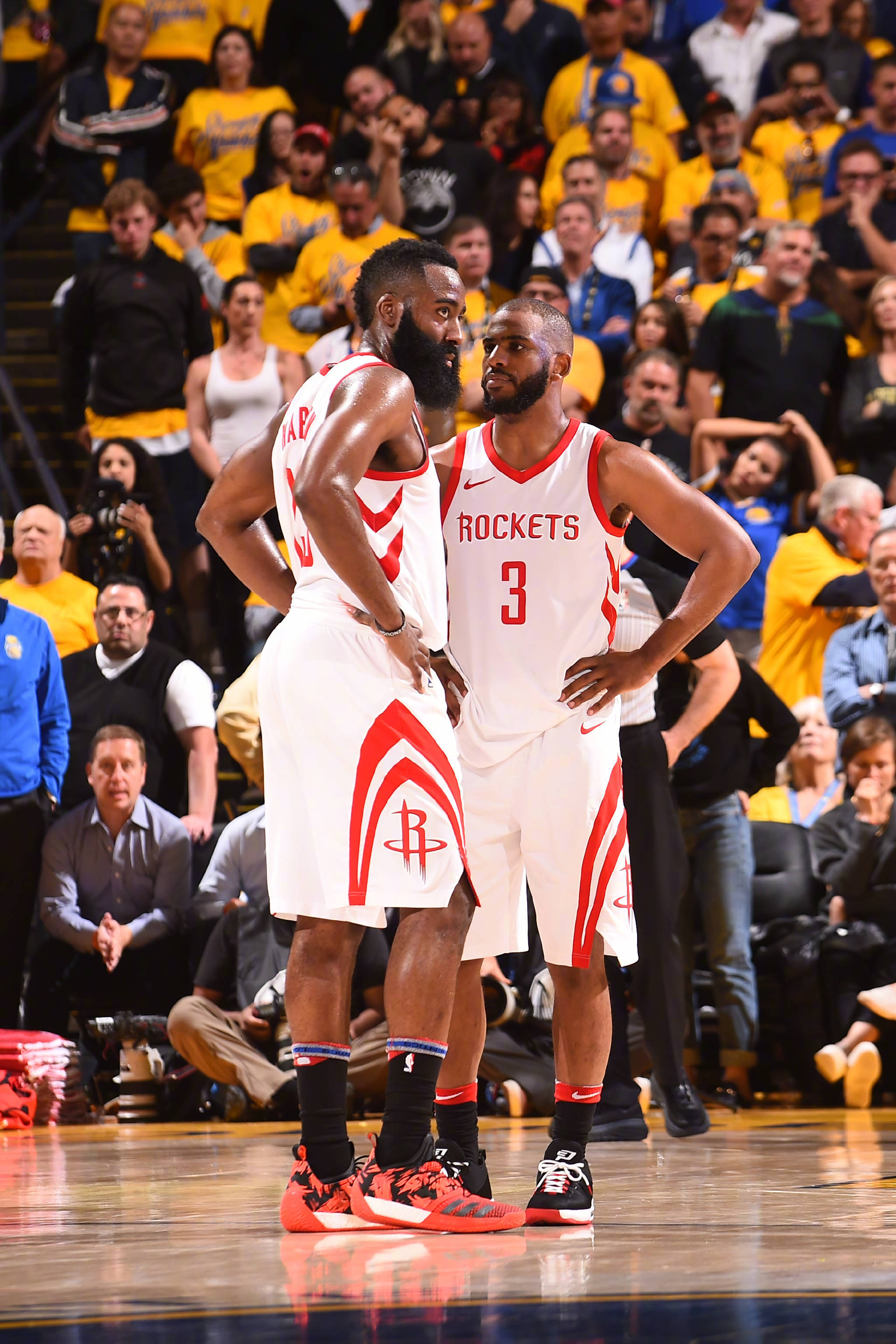 升起的新星 升起的新星